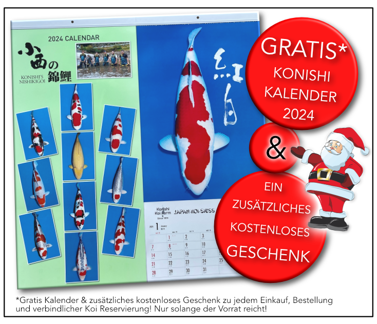 KONISHI KALENDER 2025 JAPAN KOI SIESS