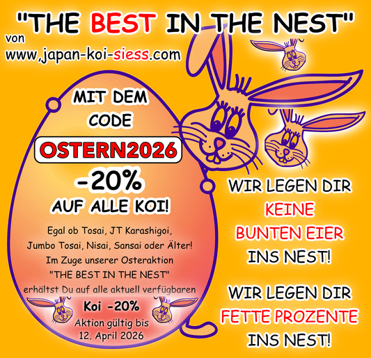 OSTERAKTION - ALLE KOI MINUS 20%