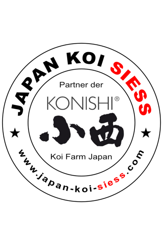 Sticker JAPAN KOI SIESS