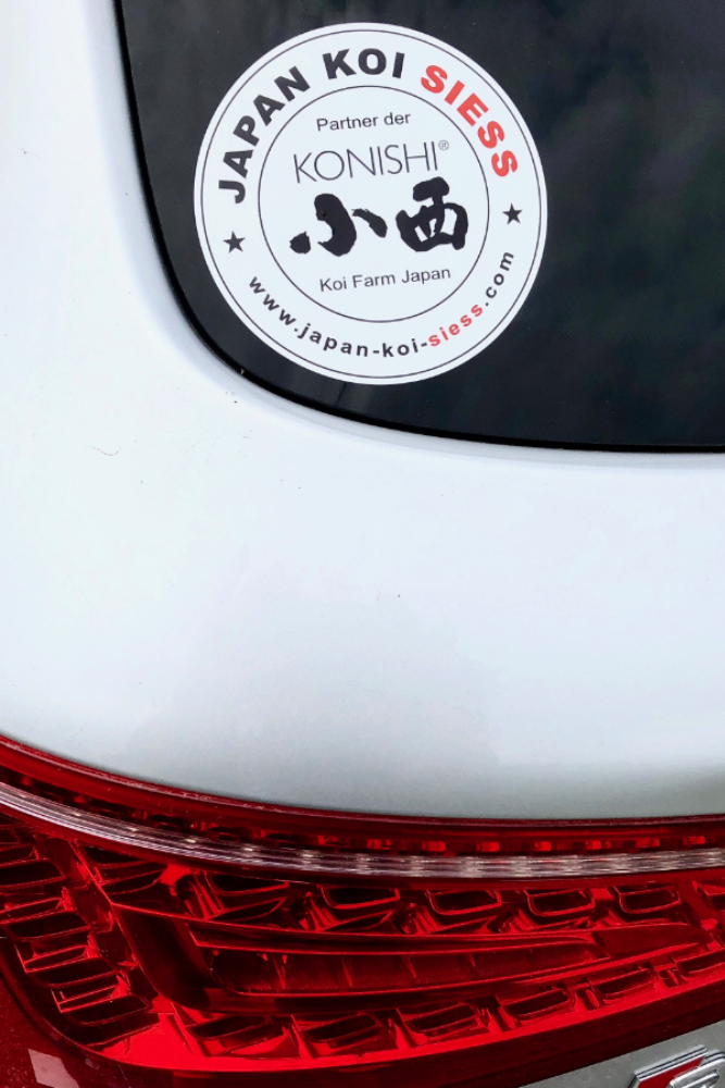 Sticker JAPAN KOI SIESS