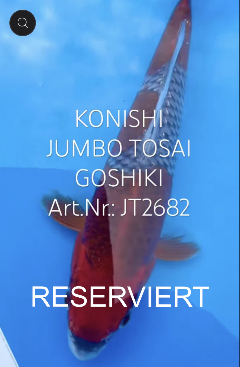 Goshiki, FM, Tosai, 23cm, Art.Nr. RESERVIERT