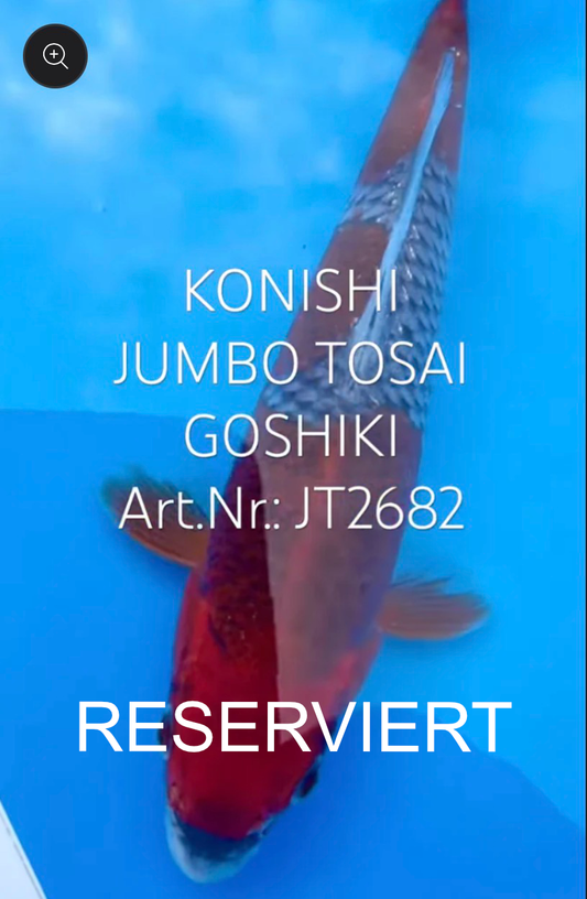 Goshiki, FM, Tosai, 23cm, Art.Nr. RESERVIERT